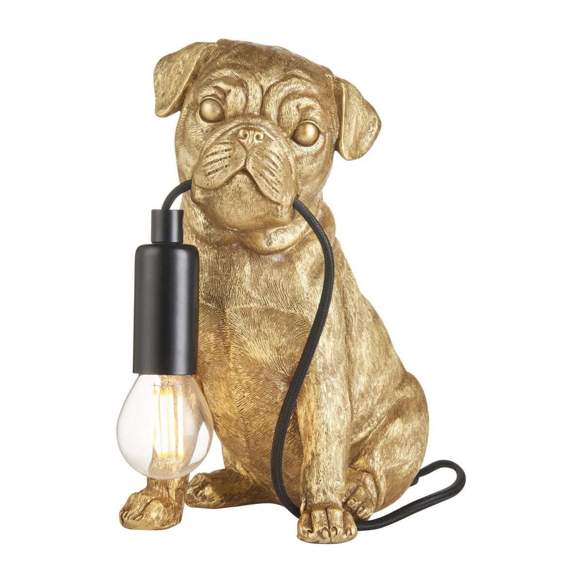 Pug puppy-107324-Endon-249363