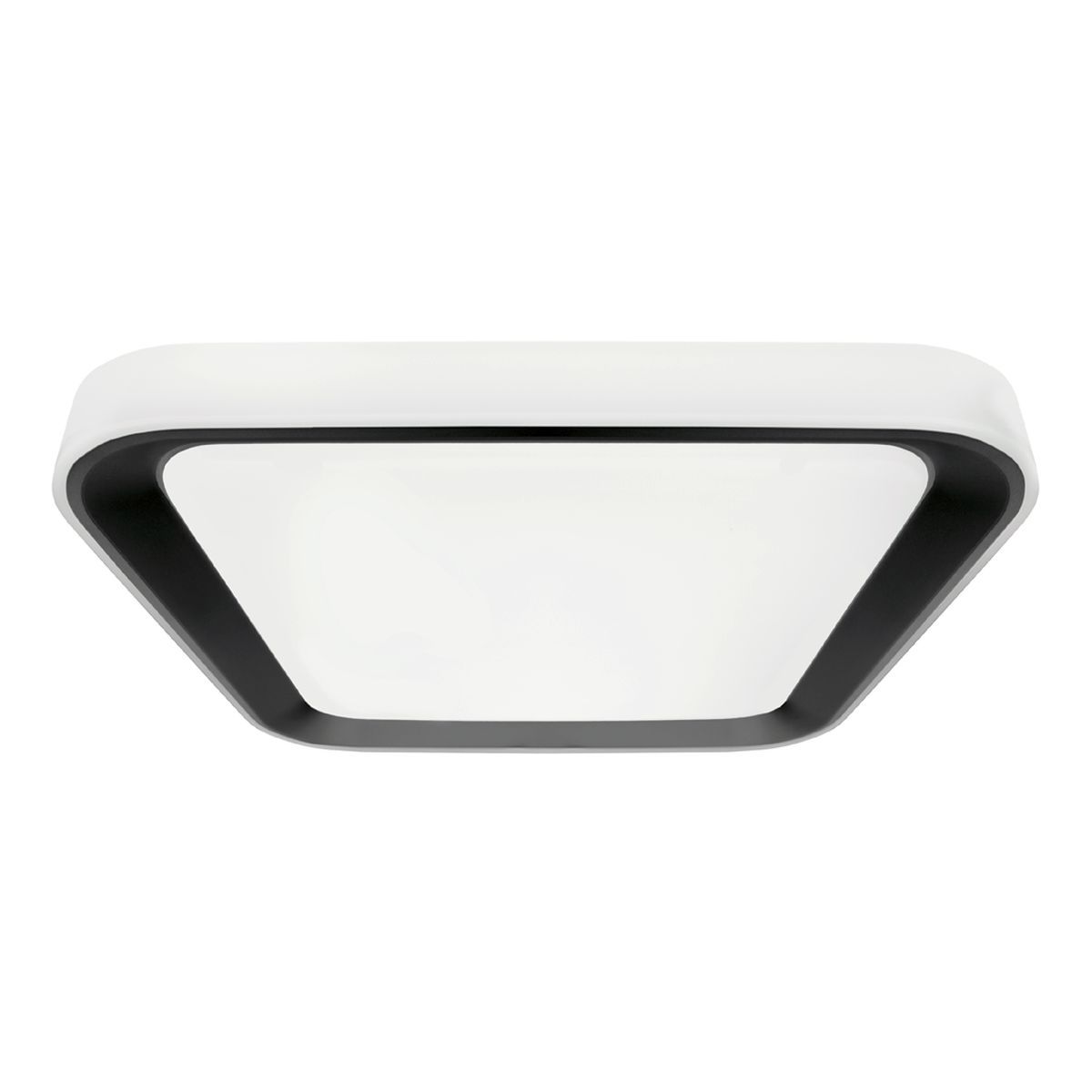 QUADRO-ML7929-Milagro-220616