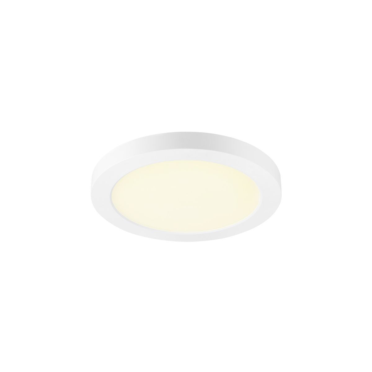 DOWNLIGHT VARIO-1010397-SLV-254489