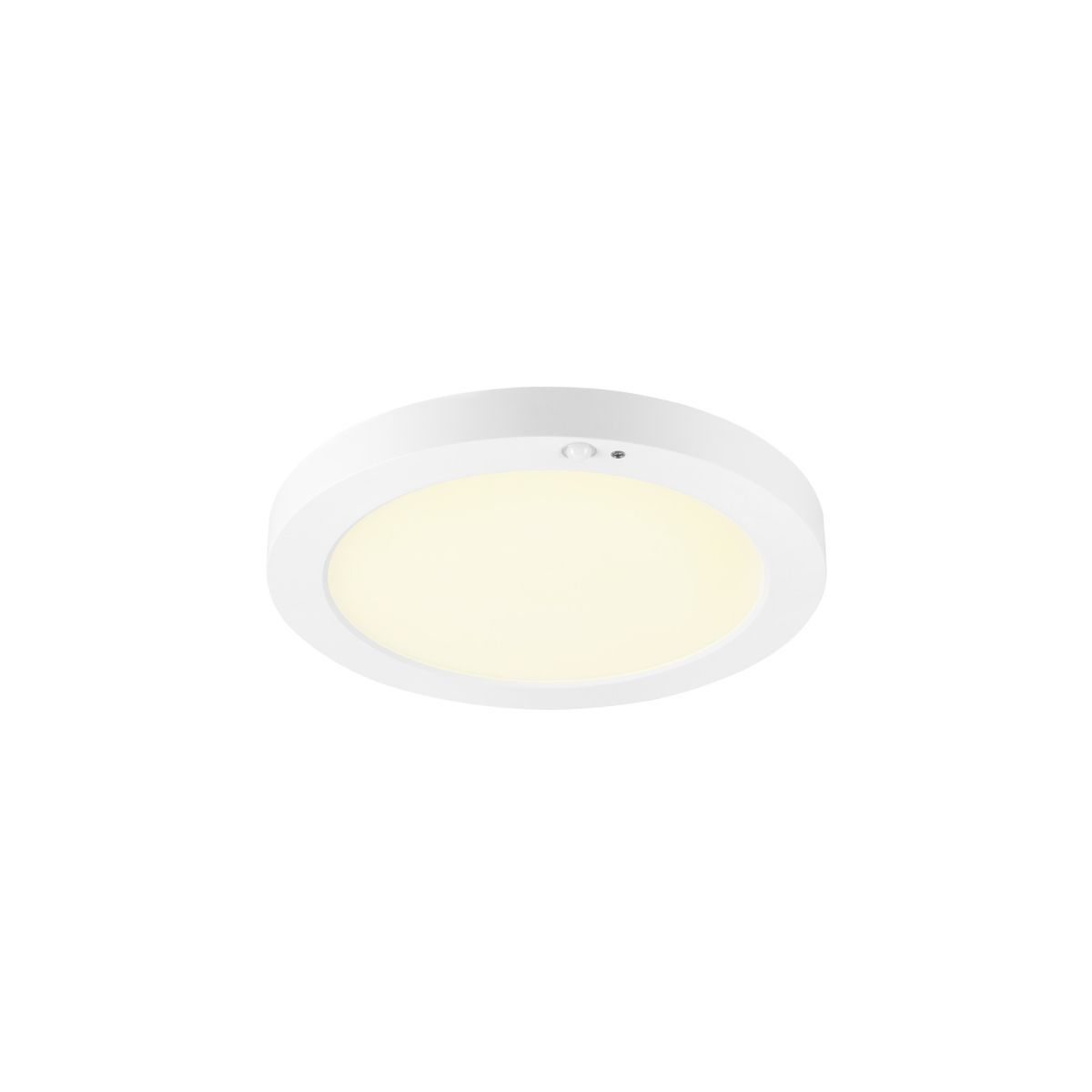 DOWNLIGHT VARIO-1010399-SLV-254491