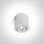 Felületi spotlámpa The Ceiling Lights 12105AB/W 1x10W/GU10 IP20 a One Light-tól