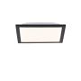 LED panel FLAT 14740-18 3000K 1x6W/LED 485LM IP20 a Paul Neuhaus-tól