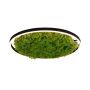Plafonlámpa GREEN RITUS 15392-66 3000k 1x28W/LED 960lm ip20 a Paul Neuhaus-tól