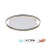 Süllyesztett mennyezeti lámpa RITUS 15391-95 3000K 1x20W/LED 900LM IP20 a Paul Neuhaus-tól