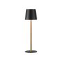 Asztali lámpa EURIA 19250-68 3000K 2,5W 1x2,5W/LED 180lm a Paul Neuhaus-tól