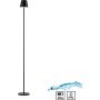 Állólámpa EURIA 19252-18 3000k 1x2,5W/LED 320lm ip54 a Paul Neuhaus-tól