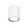Felületi spotlámpa LANDON 2110670101 1x6,5W/LED IP44 a Nordlux-tól
