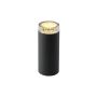 Állólámpa LINUM 2519061 1x2W/GU5,3/MODUL12LED a Garden Lights-tól