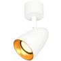 Spotlámpa Tino SPL-36748-1R-WH-GD 1x10W/GU10 IP20 a Italux-tól