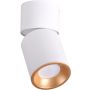 Felületi spotlámpa NIXA 314260 1x10W/GU10 IP20 a Polux-tól