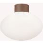 Plafonlámpa CLIO 326795 1x42W/E27 ip44 a Ideal Lux-tól