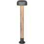Állólámpa FRASER 462560135 1x10w/e27 ip54 a Trio-tól