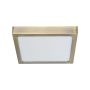 Süllyesztett mennyezeti lámpa LENYS SQ IV. 49063 LED 1x15W/LED 1350lm a Prezent-tól