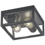 Plafonlámpa GARONNE 601860242 2x10w/e27 ip44 a Trio-tól