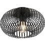 Plafonlámpa JOHANN 606903032 1x60w/e27 ip20 a Trio-tól