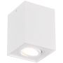 Felületi spotlámpa BISCUIT 613000131 1x35w/gu10 ip20 a Trio-tól