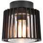 Plafonlámpa SHYNE 6397501012 1x25w/e27 ip54 a Lutec-tól