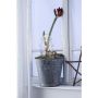 Álló dekoráció GARDENER 703775 1x0,32W/LED a Markslojd-tól