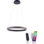 Függőlámpa Q-VITO 8411-13 2700-5000k 1x44W/LED 4550lm ip20 a Paul Neuhaus-tól
