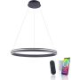 Függőlámpa Q-VITO 8412-13 2700-5000k 1x65W/LED 7000lm ip20 a Paul Neuhaus-tól
