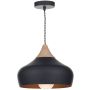 Függőlámpa GAUCHO GAU0122 1x60W/E27 a Dar Lighting-tól