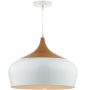 Függőlámpa GAUCHO GAU8602 1x60W/E27 a Dar Lighting-tól