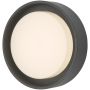 Fali lámpa RALPH RAL5239 3000K 1x9W/LED 626LM IP65 a Dar Lighting-tól