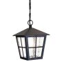 Függőlámpa CANTERBURY BL48M-BLACK 1x60W/E27 IP43 a Elstead Lighting-tól