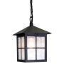 Függőlámpa WINCHESTER BL18B-BLACK 1x60W/E27 IP43 a Elstead Lighting-tól