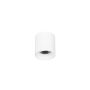 Felületi spotlámpa ALTISMA CLN-6677-75-WH-3K 3000k 1x10W/LED 1100LM IP20 a Italux-tól