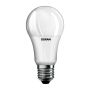 Villanykörte BULB EKZOS042 6500K 1x13W/E27 1521LM a Eko-Light-tól
