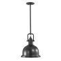 Függőlámpa PARKER PLACE FE-PARKER-P-M-DB 1x60W/E27 a Feiss-tól