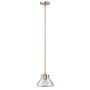 Függőlámpa CONGRESS HK-CONGRESS-P-A-BC 1x60W/E27 a Hinkley Lighting-tól