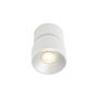Spotlámpa PITCHER 2310400101 1x10W/GU10 IP20 a Nordlux-tól
