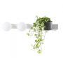 Fali lámpa BOTANICA DECO 20852201 9W 2x9W/E14 a Kaspa-tól