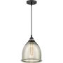 Függőlámpa PICCOLO QZS-QPP2818K 1x60W/E27 a Quoizel-tól