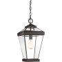 Függőlámpa RAVINE QZ-RAVINE8-L 1x60W/E27 IP44 a Quoizel-tól