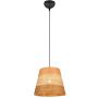 Függőlámpa JOELINE R31731926 1x10w/e27 ip20 a Trio-tól