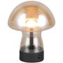 Asztali lámpa DOOLEY R54981113 3000k 1x1.5w/led 140lm ip20 a Trio-tól