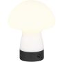 Asztali lámpa DOOLEY R54981131 3000k 1x1.5w/led 140lm ip20 a Trio-tól