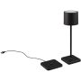 Asztali lámpa FERNANDEZ R54096132 2700+4000+6000K 1x1w/led 130lm ip54 a Trio-tól