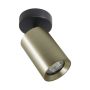 Spotlámpa TORE TLS006-GLD 35W 1x35W/GU10 a Zuma Line-tól