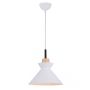 Függőlámpa PENDANT LAMP 180066 1x40w/E27 IP20 a Zambelis-tól