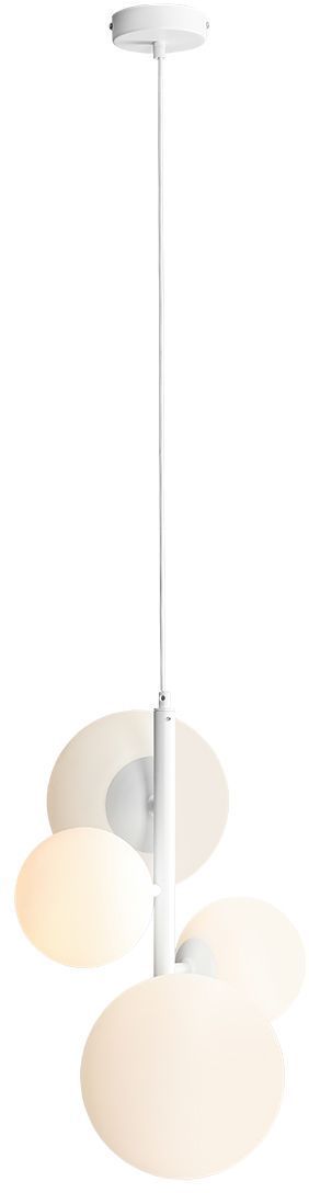 BLOOM-1091L-Aldex-162285