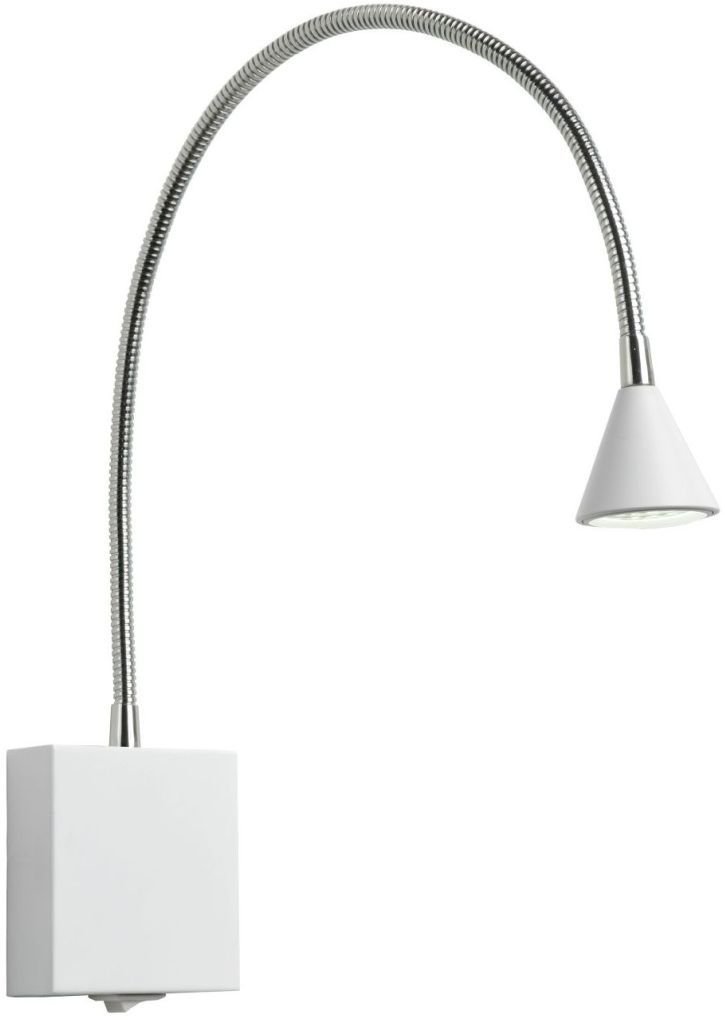 BUDDY-18293/03/31-Lucide-239853