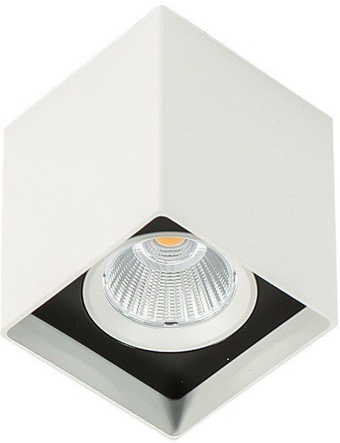 Alden White Black 4000K-SLC78002/12W 4000K WH+BL-Italux-265001