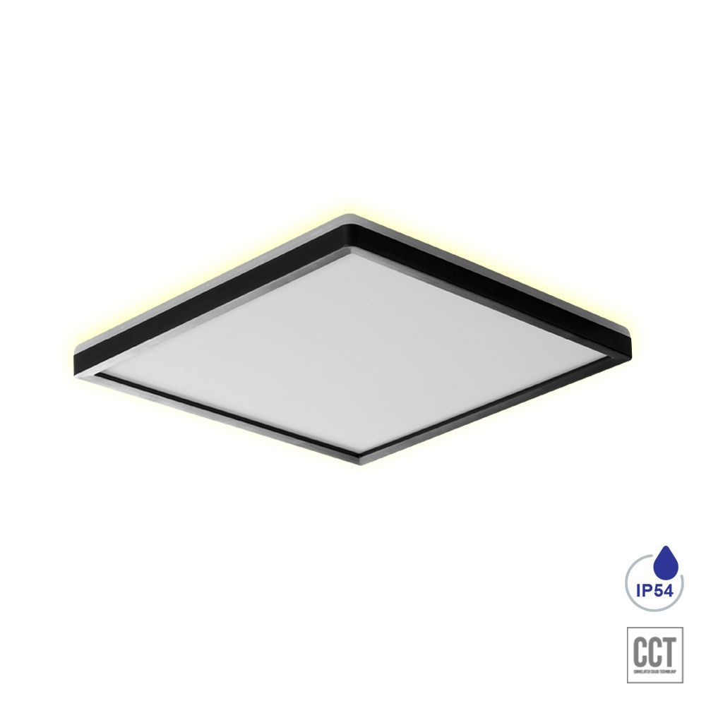 CORDIA SQ II.-27313-Prezent-235942