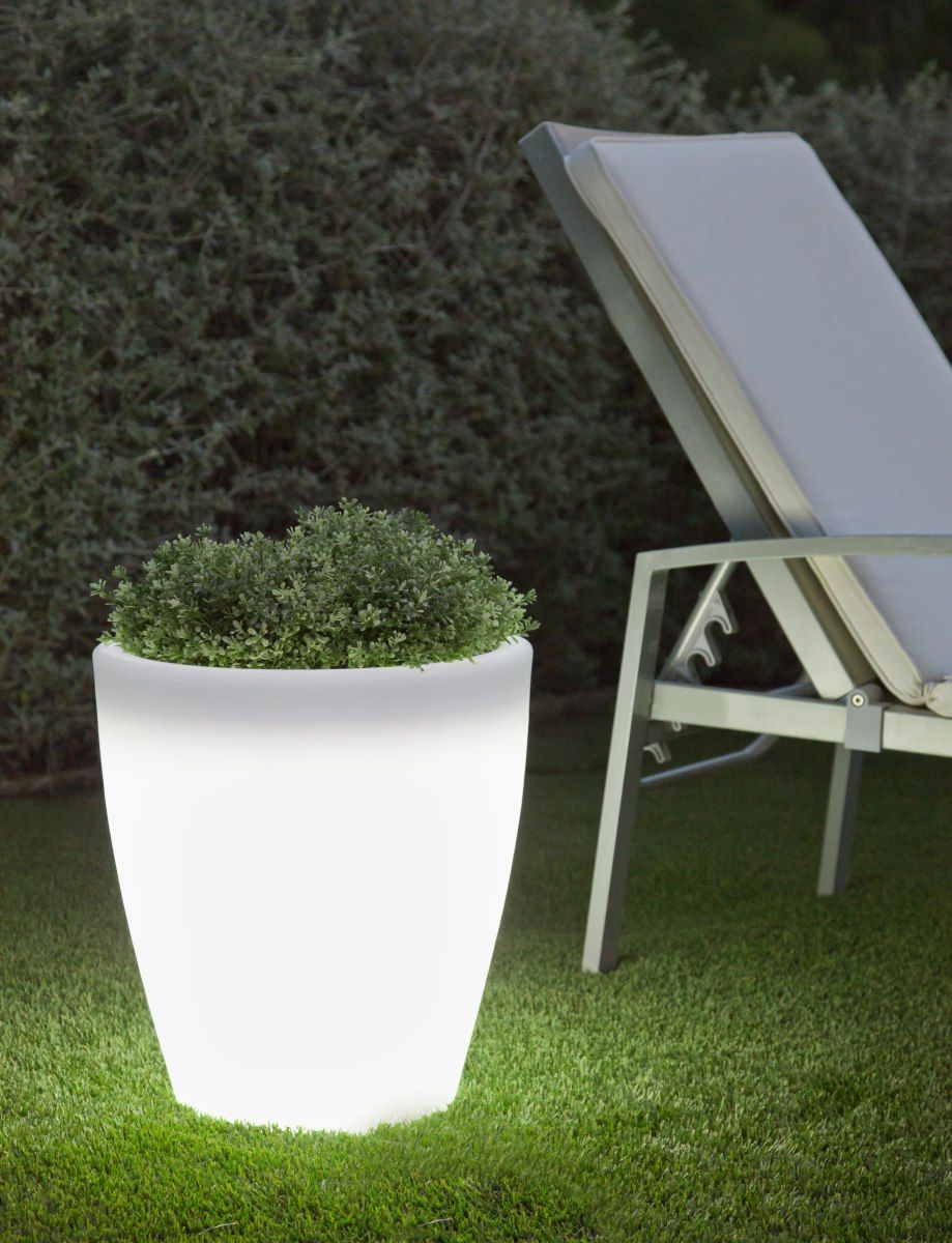 VIOLETA-3280-New Garden-251581
