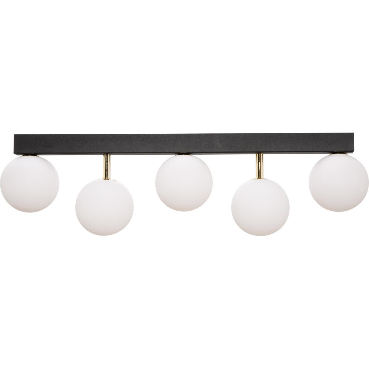 ALI-5643-Zuma Line-212917