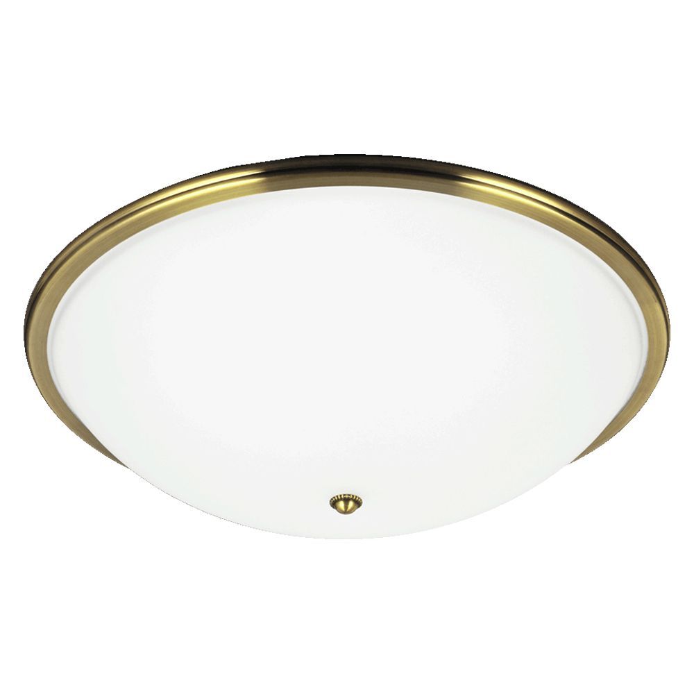 VIOLA-75354-Prezent-165496